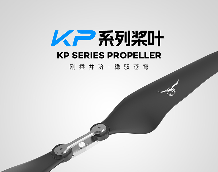 新p4